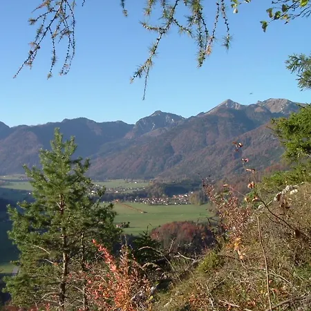 Gasthaus Hubertus 施莱兴